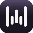 Wispr Flow logo