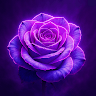 user img