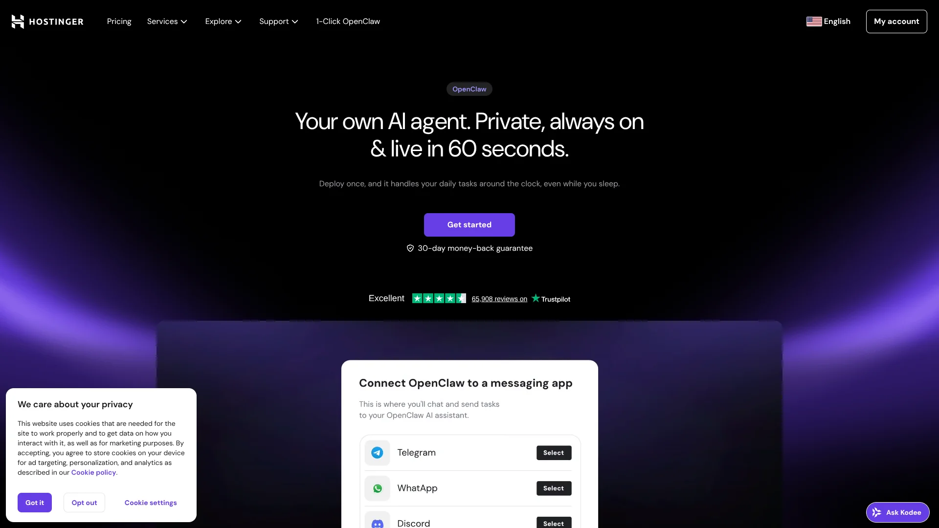 Hostinger | 1-Click OpenClaw screenshot