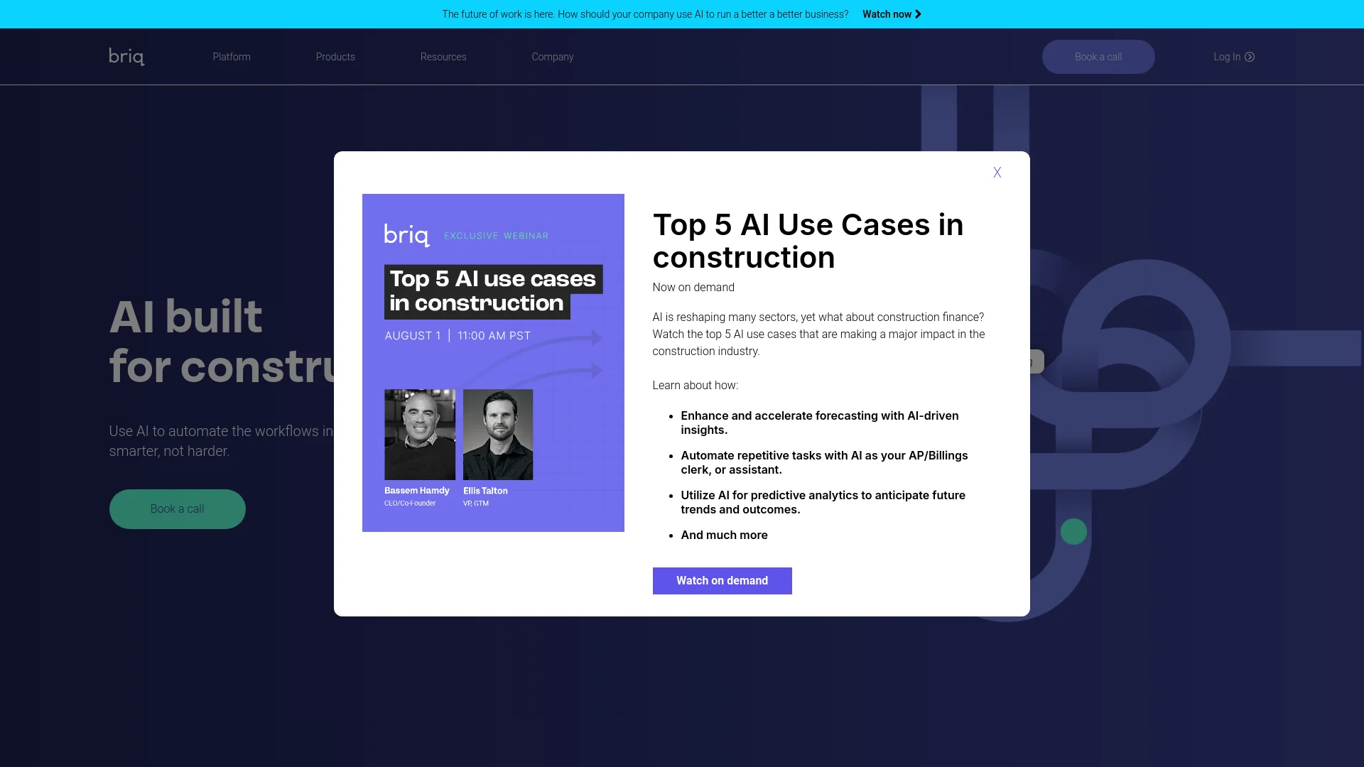 Briq screenshot